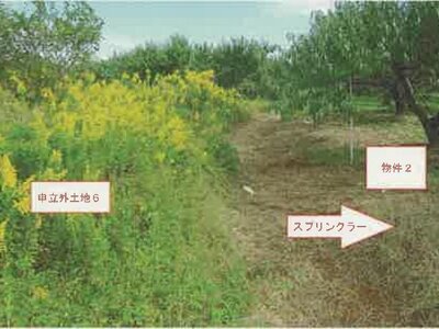 山梨県南アルプス市 小井川駅 農地 55万円の競売物件情報 #8