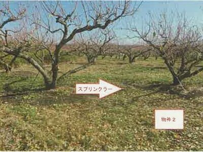 山梨県南アルプス市 小井川駅 農地 55万円の競売物件情報 #9