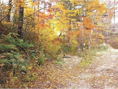 長野県北佐久郡軽井沢町 中軽井沢駅27分 土地 294万円の競売物件情報 #10