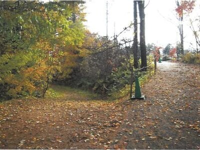 長野県北佐久郡軽井沢町 中軽井沢駅27分 土地 294万円の競売物件情報 #11