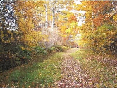 長野県北佐久郡軽井沢町 中軽井沢駅27分 土地 294万円の競売物件情報 #12