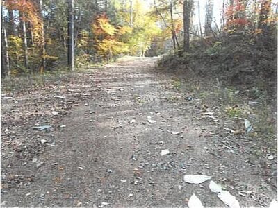 長野県北佐久郡軽井沢町 中軽井沢駅27分 土地 294万円の競売物件情報 #5