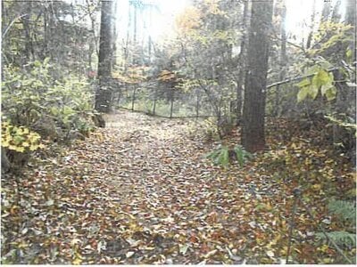 長野県北佐久郡軽井沢町 中軽井沢駅27分 土地 294万円の競売物件情報 #7