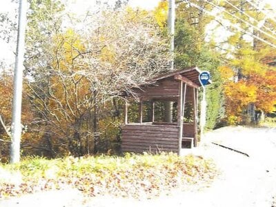 長野県北佐久郡軽井沢町 中軽井沢駅27分 土地 294万円の競売物件情報 #8