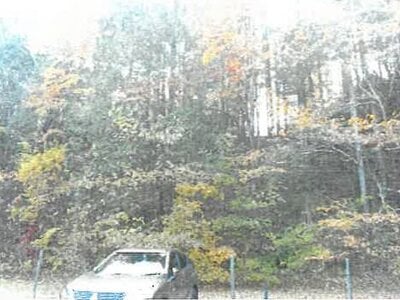 長野県北佐久郡軽井沢町 中軽井沢駅26分 土地 194万円の競売物件情報 #2