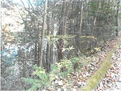 長野県北佐久郡軽井沢町 中軽井沢駅26分 土地 194万円の競売物件情報 #3