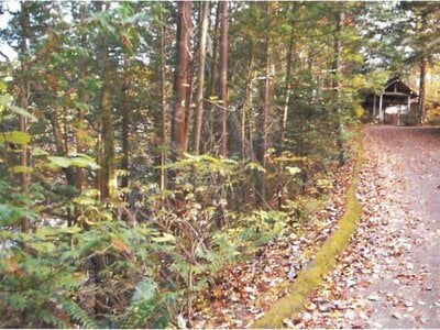 長野県北佐久郡軽井沢町 中軽井沢駅26分 土地 194万円の競売物件情報 #5