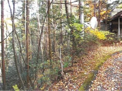 長野県北佐久郡軽井沢町 中軽井沢駅26分 土地 194万円の競売物件情報 #6