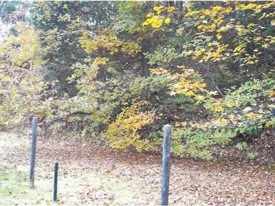 長野県北佐久郡軽井沢町 中軽井沢駅26分 土地 194万円の競売物件情報 #7