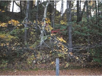 長野県北佐久郡軽井沢町 中軽井沢駅26分 土地 194万円の競売物件情報 #8