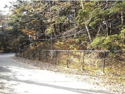 長野県北佐久郡軽井沢町 中軽井沢駅26分 土地 99万円の競売物件情報 #10