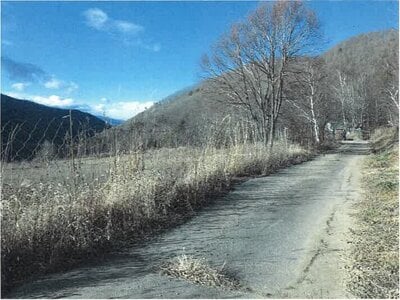 長野県南佐久郡川上村 信濃川上駅 農地 145万円の競売物件情報 #5