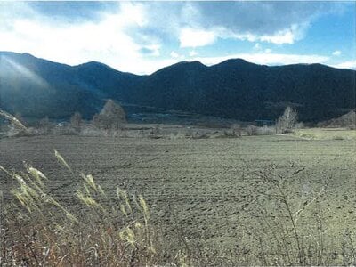 長野県南佐久郡川上村 信濃川上駅 農地 145万円の競売物件情報 #6