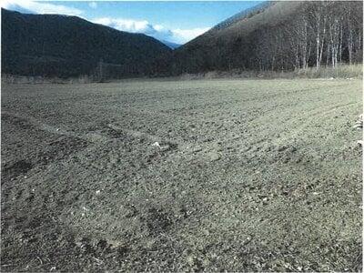 長野県南佐久郡川上村 信濃川上駅 農地 145万円の競売物件情報 #7