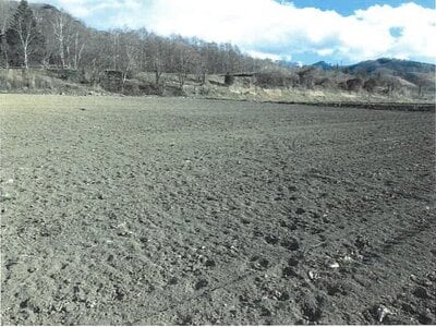 長野県南佐久郡川上村 信濃川上駅 農地 145万円の競売物件情報 #9