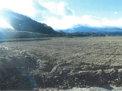 長野県南佐久郡川上村 信濃川上駅 農地 63万円の競売物件情報 #5