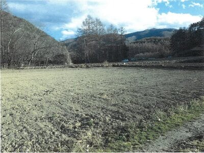 長野県南佐久郡川上村 信濃川上駅 農地 63万円の競売物件情報 #8