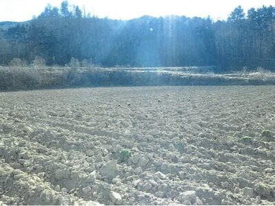 長野県南佐久郡川上村 信濃川上駅 農地 131万円の競売物件情報 #10