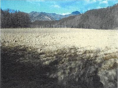 長野県南佐久郡川上村 信濃川上駅 農地 131万円の競売物件情報 #2