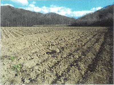 長野県南佐久郡川上村 信濃川上駅 農地 131万円の競売物件情報 #3