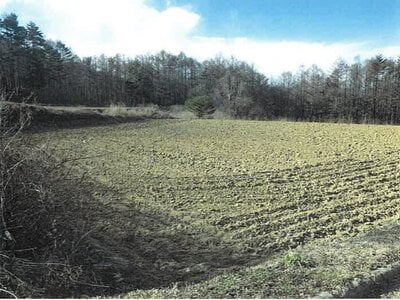 長野県南佐久郡川上村 信濃川上駅 農地 131万円の競売物件情報 #7