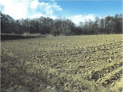 長野県南佐久郡川上村 信濃川上駅 農地 131万円の競売物件情報 #8