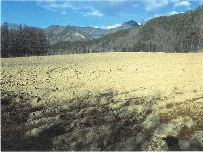長野県南佐久郡川上村 信濃川上駅 農地 131万円の競売物件情報 #9