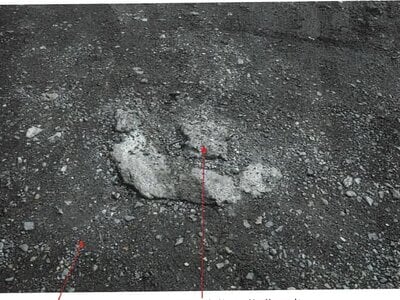 岐阜県土岐市 土岐市駅 土地 115万円の競売物件情報 #5