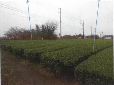 静岡県牧之原市 農地 58万円の競売物件情報 #3