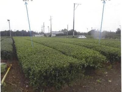 静岡県牧之原市 農地 58万円の競売物件情報 #4