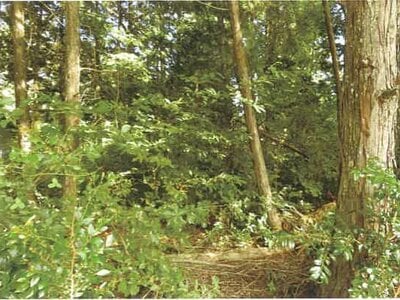 滋賀県高島市 安曇川駅 土地 29万円の競売物件情報 #10