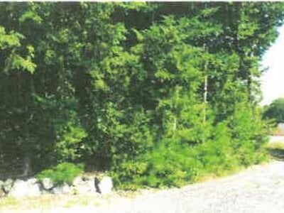 滋賀県高島市 安曇川駅 土地 29万円の競売物件情報 #3