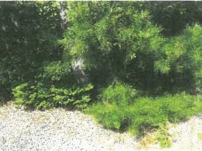 滋賀県高島市 安曇川駅 土地 29万円の競売物件情報 #4