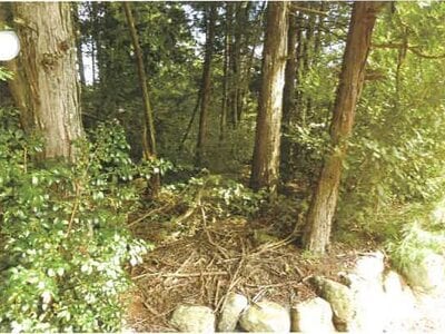 滋賀県高島市 安曇川駅 土地 29万円の競売物件情報 #9