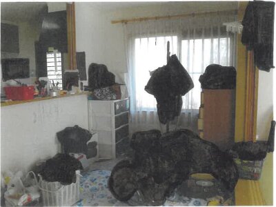 京都府船井郡京丹波町 胡麻駅 戸建て 250万円の競売物件情報 #5