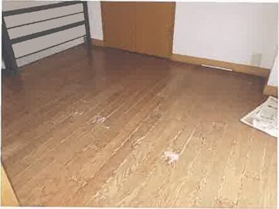 北海道亀田郡七飯町 大沼公園駅5分 戸建て 939万円の競売物件情報 #11