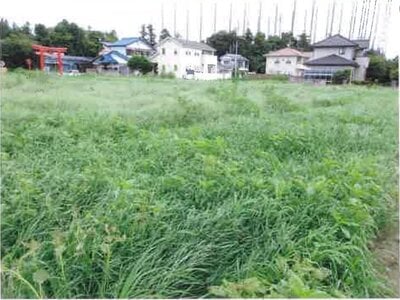 群馬県太田市 細谷駅22分 農地 37万円の競売物件情報 #3