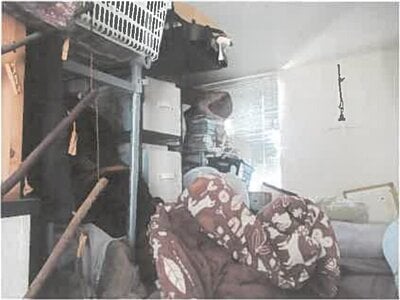 埼玉県吉川市 吉川駅12分 戸建て 1,382万円の競売物件情報 #10