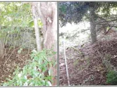 (値下げ) 長野県大町市 信濃常盤駅10分 戸建て 582万円の競売物件情報 #17