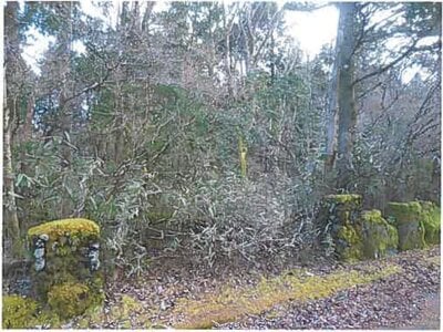 静岡県裾野市 土地 62万円の競売物件情報 #2