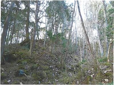 静岡県裾野市 土地 62万円の競売物件情報 #2