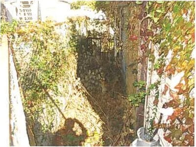 静岡県下田市 伊豆急下田駅 戸建て 117万円の競売物件情報 #7