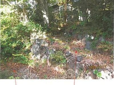 静岡県伊東市 伊豆高原駅26分 戸建て 569万円の競売物件情報 #2