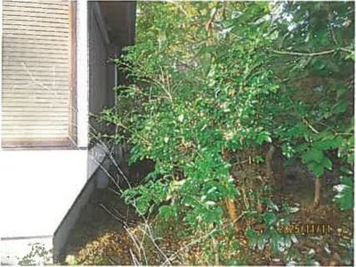 静岡県伊東市 伊豆高原駅26分 戸建て 569万円の競売物件情報 #8