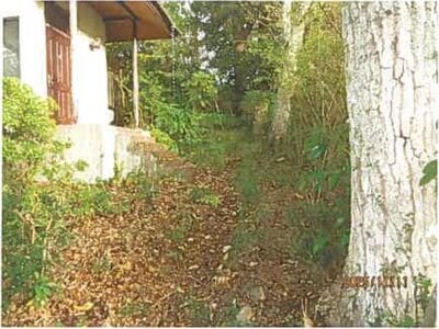 静岡県伊東市 伊豆高原駅26分 戸建て 569万円の競売物件情報 #9