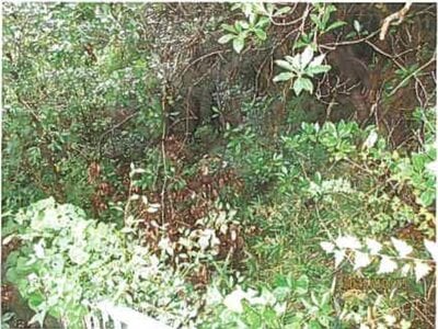 静岡県裾野市 裾野駅 戸建て 775万円の競売物件情報 #6