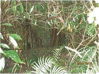 静岡県裾野市 裾野駅 戸建て 775万円の競売物件情報 #7