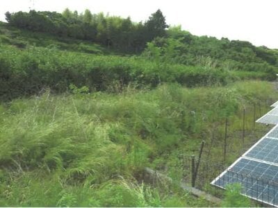 静岡県富士宮市 入山瀬駅9分 農地 72万円の競売物件情報 #3