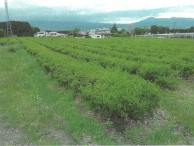 静岡県富士宮市 富士根駅16分 農地 148万円の競売物件情報 #3