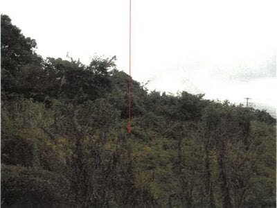 静岡県富士市 富士根駅 戸建て 1,100万円の競売物件情報 #10